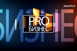 PRO бизнес 