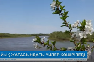 Апта