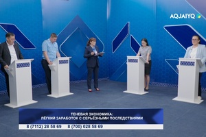 Свое мнение (17.08.2026)