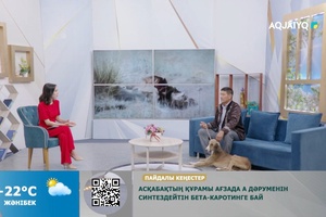 3 Қыркүйек – қазақы тазы күні. Күншуақ (03.09.2026)