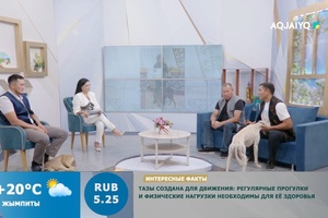 3 сентября – День казахского тазы и тобета. Күншуақ (03.09.2026)