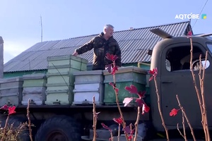 Программа 
