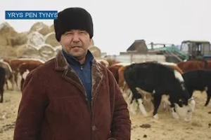 Ырыс пен тыныс:Шалғайдағы шаруалар