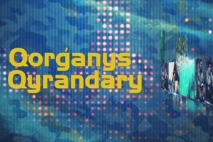 Қорғаныс қырандары: Патрульдік қызмет