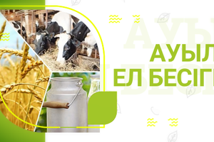 Ауыл ел бесігі