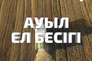 Ауыл ел бесігі