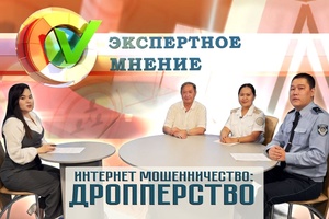 Экспертное мнение - Интернет мошенничество: дропперство