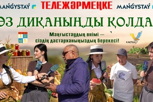 Тележәрмеңке - Өз диқаныңды қолда