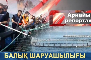 Арнайы репортаж - Балық шаруашылығы