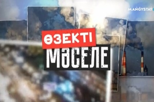 Өзекті мәселе - Ақылы мектепте оқу баланың сапалы білім алуына кепіл бола ма?