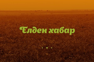 ТҮЛКІБАС АУДАНЫНДА ЖҰМЫСПЕН ҚАМТУ ДЕҢГЕЙІ ҚАНДАЙ?