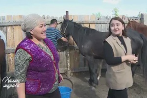Қымызмұрындық: Ұмытылған дәстүрдің қайта жандануы | «Халық мұрасы»