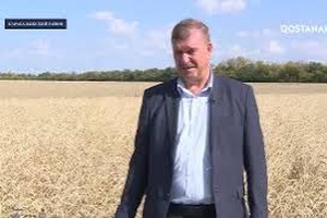 Селекция и выведение новых сортов – Карабалыкская СХОС | «Агробизнес»