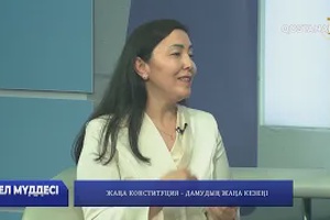 Жаңа Конституция – дамудың жаңа кезеңі | «Ел мүддесі»
