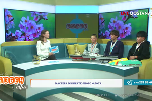 Мастера миниатюрного флота | Бізбен бірге