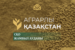 Аграрлы Қазақстан. Жамбыл ауданы