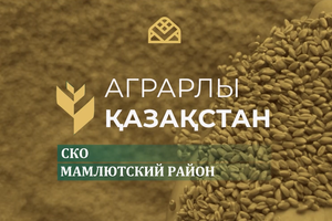 Аграрлы Қазақстан. Мамлютский район