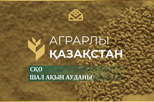 Аграрлы Қазақстан. Шал ақын ауданы