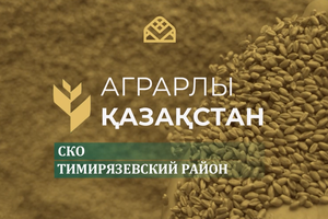 Аграрлы Қазақстан. Тимирязевский район