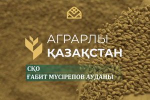 Аграрлы Қазақстан. Ғабит Мүсірепов ауданы