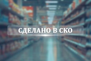 Сделано в Северном Казахстане