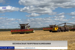Qyzyljar апта: 