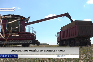 Qyzyljar апта:  
