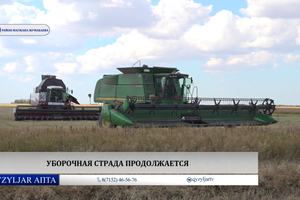 Qyzyljar апта: 