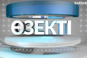 Өзекті | Тұрмыстық зорлық-зомбылықтың алдын-алу