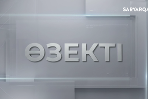 Өзекті | Тұрмыстық зорлық-зомбылық қоғам кеселі