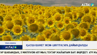 Қысқа қажет жем-шөптің 50% дайындалды