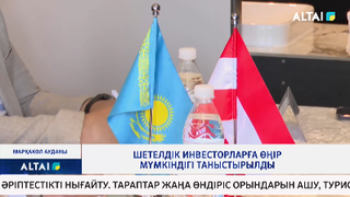 Шетелдік инвесторларға өңір мүмкіндігі таныстырылды