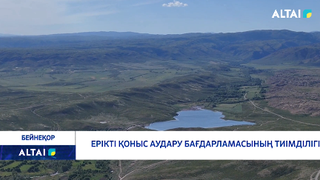 Ерікті қоныс аудару бағдарламасының тиімділігі