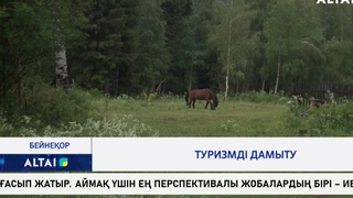 Туризмді дамыту