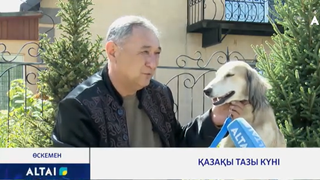 Қазақы тазы күні