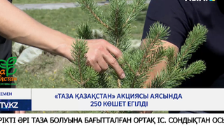 «Таза Қазақстан» акциясы аясында 250 көшет егілді