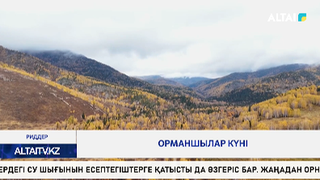 Орманшылар күні