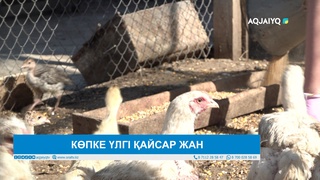 КӨПКЕ ҮЛГІ ҚАЙСАР ЖАН