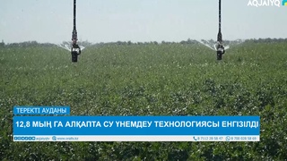 12,8 МЫҢ ГА АЛҚАПТА СУ ҮНЕМДЕУ ТЕХНОЛОГИЯСЫ ЕНГІЗІЛДІ