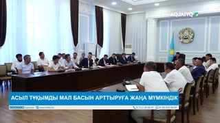 АСЫЛ ТҰҚЫМДЫ МАЛ БАСЫН АРТТЫРУҒА ЖАҢА МҮМКІНДІК
