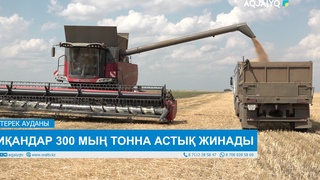ДИҚАНДАР 300 МЫҢ ТОННА АСТЫҚ ЖИНАДЫ