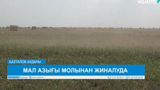 МАЛ АЗЫҒЫ МОЛЫНАН ЖИНАЛУДА 
