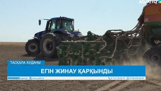 ҚОСАРАЛДА ЖАЗ МАУСЫМЫ ҚАРБАЛАС