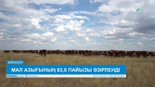 МАЛ АЗЫҒЫНЫҢ 83,6 ПАЙЫЗЫ ӘЗІРЛЕНДІ 