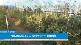 ЖЫЛЫЖАЙ – БЕРЕКЕЛІ КӘСІП