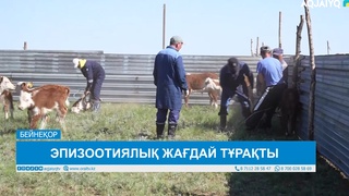 ЭПИЗООТИЯЛЫҚ ЖАҒДАЙ ТҰРАҚТЫ  