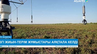 КҮЗГІ ЖИЫН-ТЕРІМ ЖҰМЫСТАРЫ АЯҚТАЛА КЕЛДІ