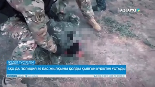 БҚО-ДА ПОЛИЦИЯ 36 БАС ЖЫЛҚЫНЫ ҚОЛДЫ ҚЫЛҒАН КҮДІКТІНІ ҰСТАДЫ