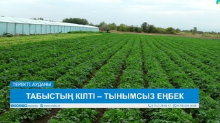 ТАБЫСТЫҢ КІЛТІ – ТЫНЫМСЫЗ ЕҢБЕК