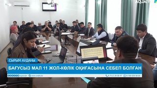 БАҒУСЫЗ МАЛ 11 ЖОЛ-КӨЛІК ОҚИҒАСЫНА СЕБЕП БОЛҒАН